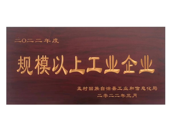 规模以上工业企业